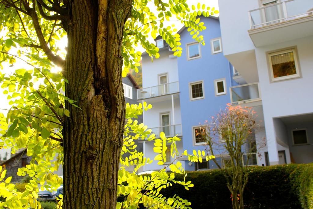 Hotel Ricarda Schlangenbad Exterior foto
